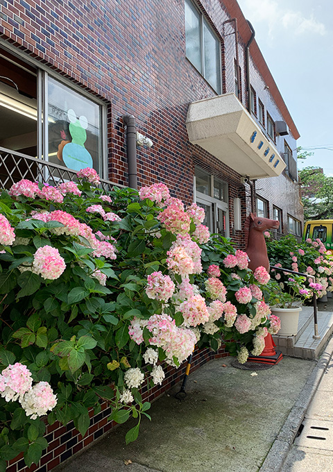 亀田幼稚園 外観